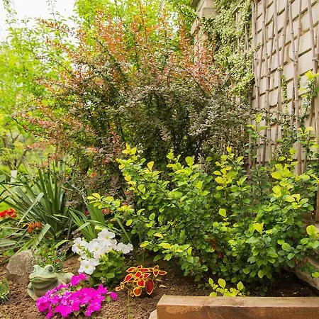 Ξενοδοχείο με διαμερίσματα Yuzhniy Dvorik