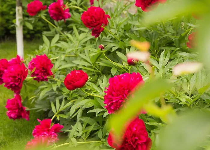 Aparthotel Yuzhniy Dvorik