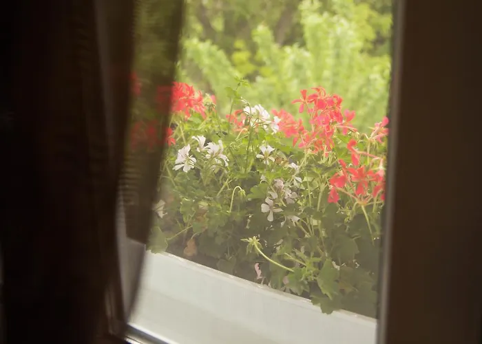 Aparthotel Yuzhniy Dvorik