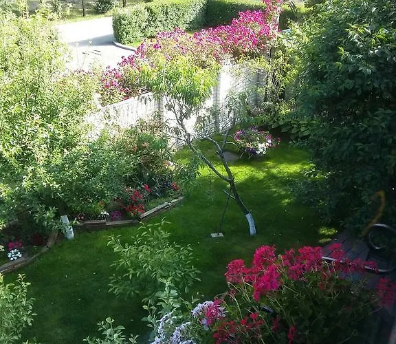 Yuzhniy Dvorik Odessa