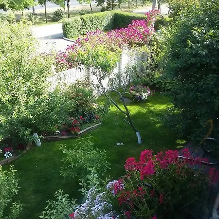 Yuzhniy Dvorik אודסה