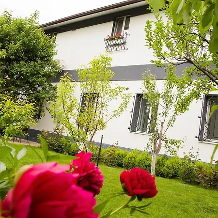 מלון דירות Yuzhniy Dvorik 3*