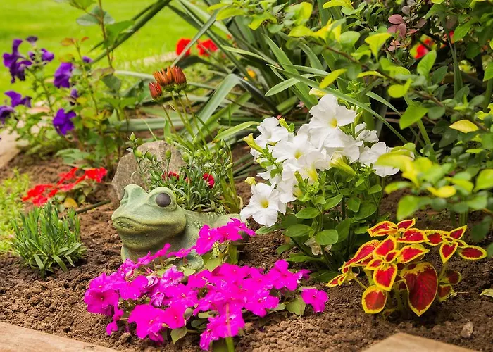 Yuzhniy Dvorik Odessa